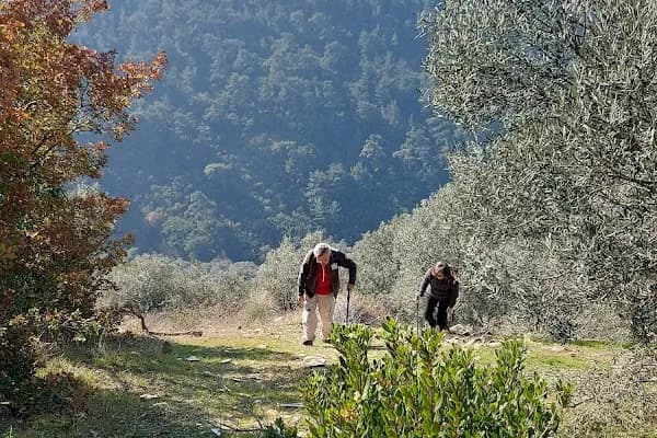 Bayındır - Yerleşim Yeri - İzmir Balçova