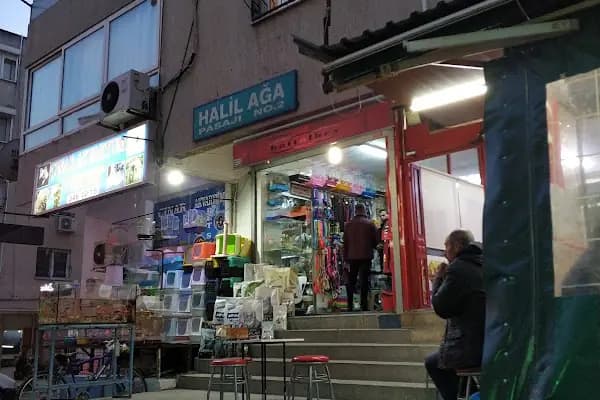 Çınar Akvaryum Petshop - Evcil hayvan mağazası - İzmir Aliağa