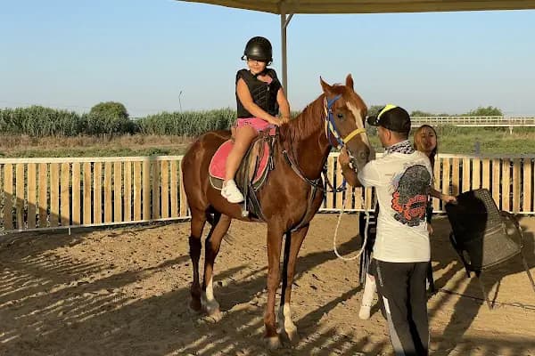 Manisa Şehzadeler Binicilik SK. - Spor Kulübü - Manisa Yunusemre