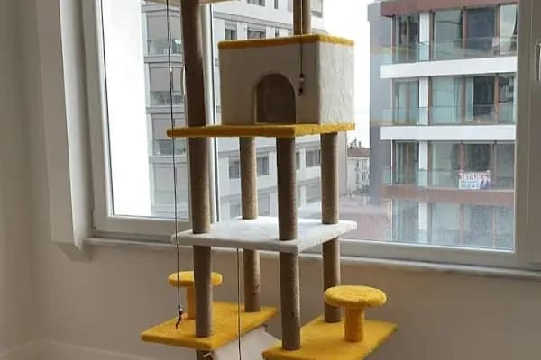 Duman Mia kedi evleri - Evcil hayvan mağazası - İstanbul Bağcılar