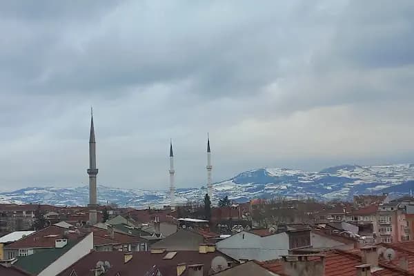 Sinanbey Mahallesi Muhtarlığı - Resmi Kurum - Bursa İnegöl