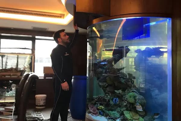 Konsept Akvaryum - Akvaryum - İstanbul Avcılar