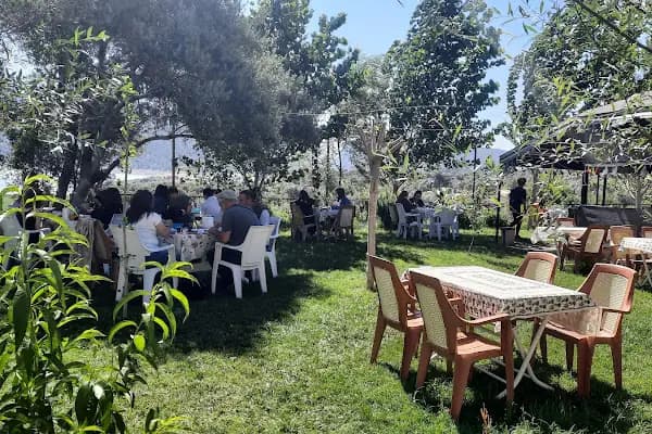 ArapApıştı Kanyonu Mammacı Yörük Çadırı Restorant - Aile restoranı - Aydın Bozdoğan