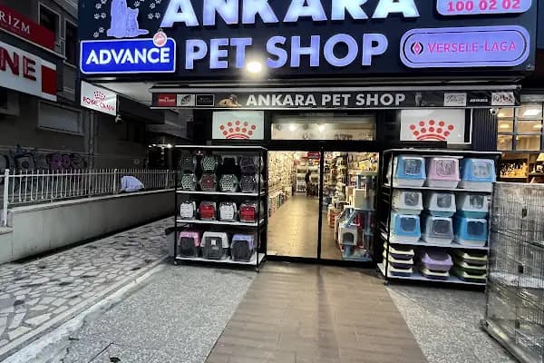 Ankara Pet Shop - Evcil hayvan mağazası - Ankara Akyurt