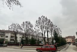 Sedef Sitesi