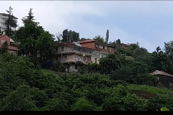 Orta Mahallesi Aşağı Cami - Cami - Trabzon Akçaabat