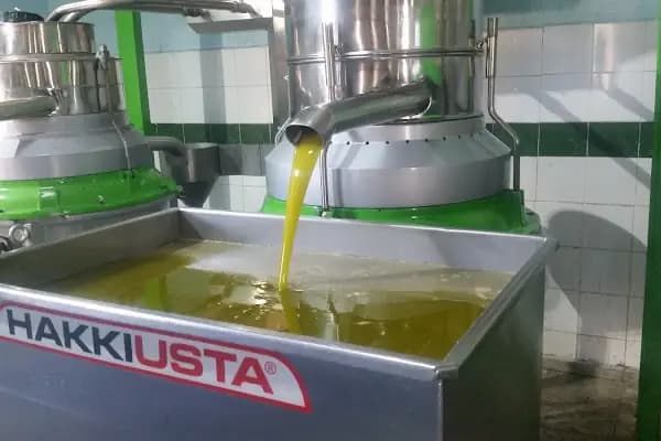 Altın Damla Zeytinyağı - Zeytinyağı Üreticisi - Aydın Çine