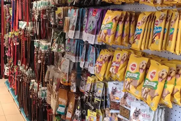 ZOO Pet Shop - Evcil hayvan mağazası - İzmir Karabağlar