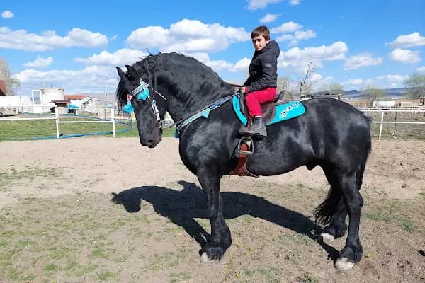 GÜNDÜZ AT ÇİFTLİĞİ - At Yetiştiricisi - Ankara Gölbaşı