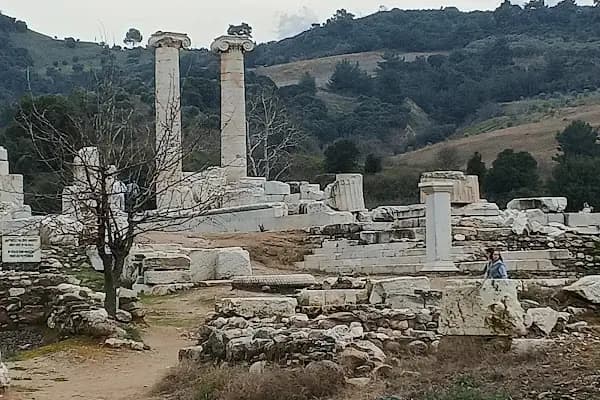 Artemis Plato - Sanat Organizasyonu - İzmir Buca