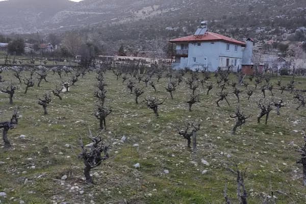Yazır - Yerleşim Yeri - Antalya Finike