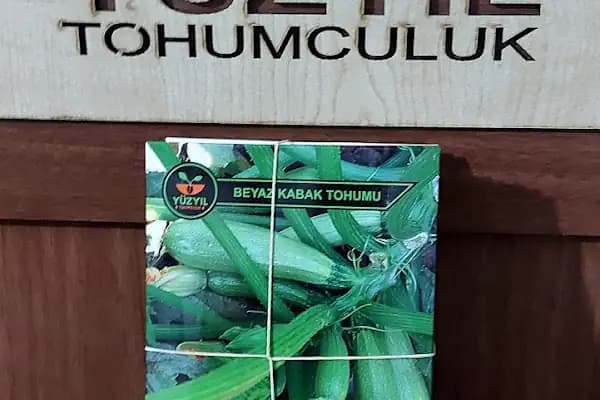 Yüzyıl Tohumculuk - Tohum Tedarikçisi - İstanbul Küçükçekmece