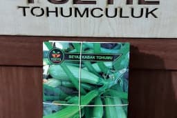 Yüzyıl Tohumculuk