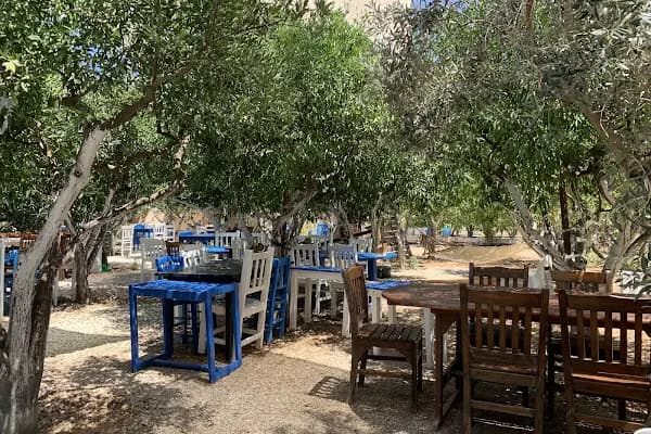 Daşdibi Kahvaltı &amp; Kafe Bodrum - Kahvaltı restoranı - Muğla Bodrum
