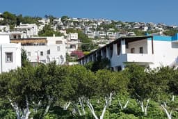 Karaincir