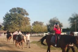 Bursa Haflinger Çiftliği