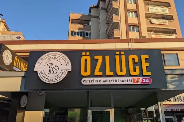 Özlüce Veteriner Kliniği - Veteriner - Bursa Nilüfer