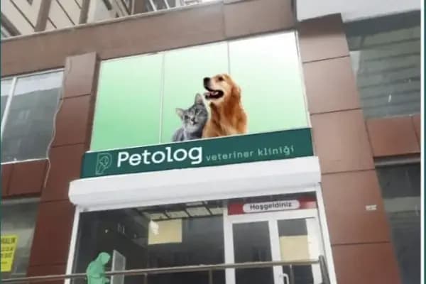 Petolog Mardin Veteriner Kliniği - Veteriner - Mardin Nusaybin