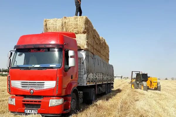 Antalya Nakliyeciler Dern. - Dernek veya Kuruluş - Antalya Gazipaşa