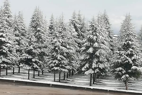 Sincan - Tren İstasyonu - Ankara Pursaklar