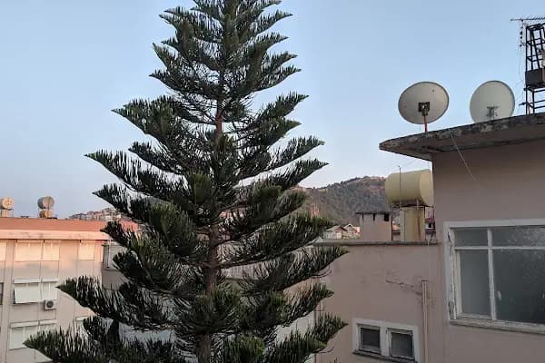 Luxor Apart Otel - Otel - Antalya Akseki