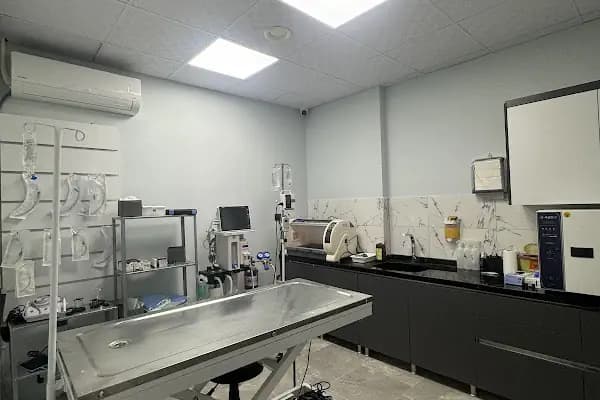 Dr.D Veteriner Kliniği - Veteriner - Manisa Manisa