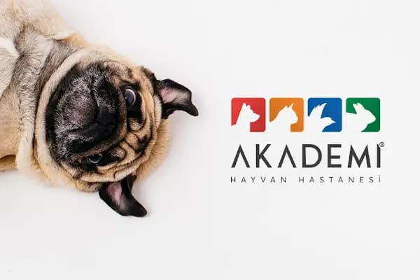 Akademi Hayvan Hastanesi - Acil Durum Veterinerlik Hizmeti - Bursa Nilüfer