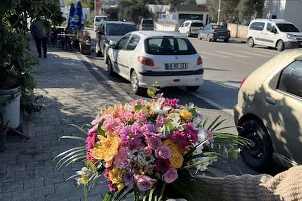 Bodrum Bitez Çiçekcilik - Çiçekçi - Muğla Bodrum