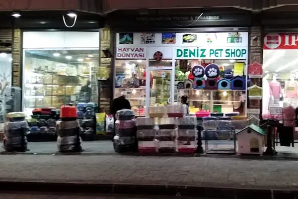 MİNİK PATİ PET KUAFÖR (GAZİANTEP KEDİ&amp;KÖPEK TRAŞI) - Evcil Hayvan Kuaförü - Gaziantep Nizip