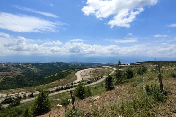 Kocaeli Üniversitesi Genetik - Üniversite - Kocaeli Çayırova