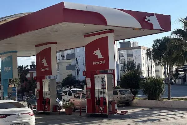 KARPUZ cu - Manav - Adana Karaisalı