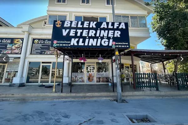 Belek Alfa Veteriner Kliniği - Veteriner - Antalya Alanya