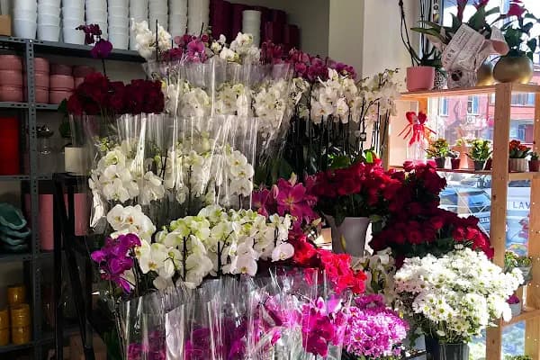 Lotus Çiçekçilik - Çiçekçi - İstanbul Bağcılar