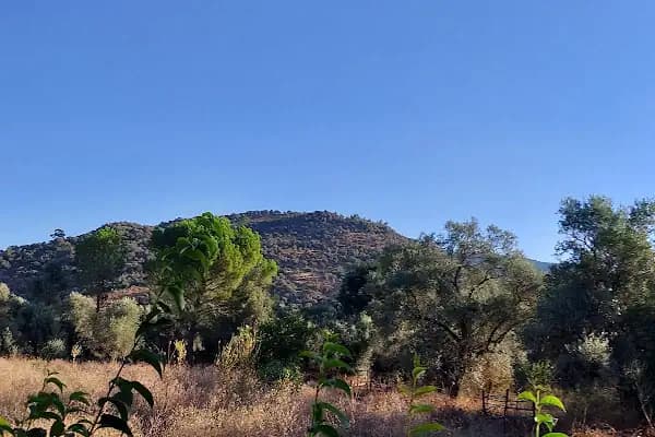 Karaincir - Elektrik Santrali - Muğla Bodrum