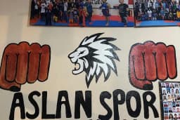 ASLAN SPOR KULÜBÜ