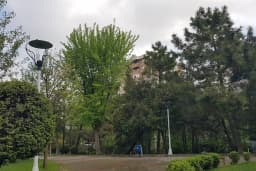 Koza Parkı
