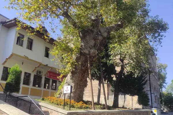 Özhayat Otel - Otel - Bursa İnegöl