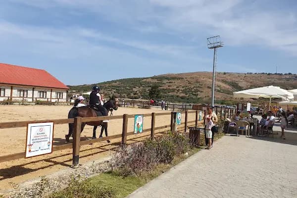 Aliapark Atla Terapi ve Hippoterapi Merkezi - Eğitim Merkezi - İzmir Bayraklı