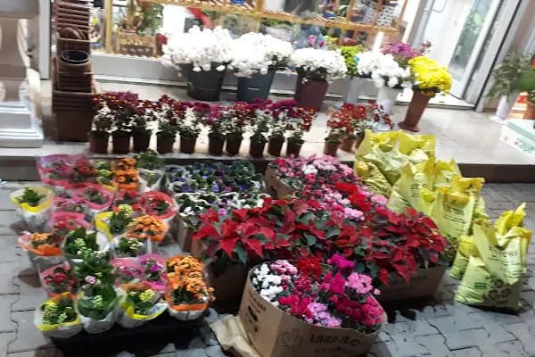 MS Çiçekçilik - Çiçekçi - Gaziantep Karkamış