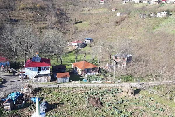Akkaya Köyü Muhtarlığı - Kurumsal Ofis - Giresun Keşap