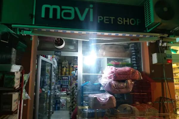 Mavi Pet Shop ve akvaryum dünyası - Evcil hayvan mağazası - Konya Selçuklu