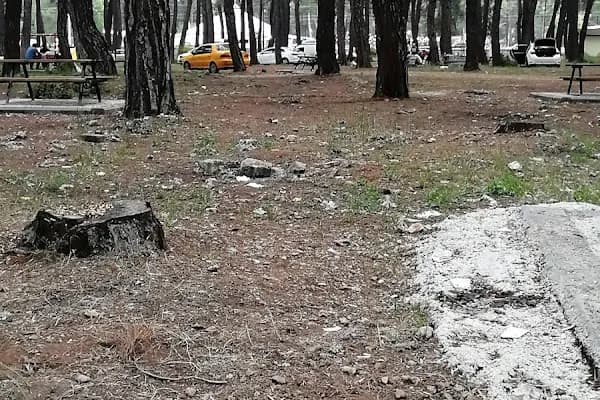Düzlerçamı piknik alanı - Yürüyüş Alanı - Antalya Döşemealtı