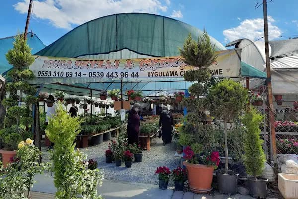 Buca Peyzaj Çiçekçilik - Fidanlık - İzmir Buca