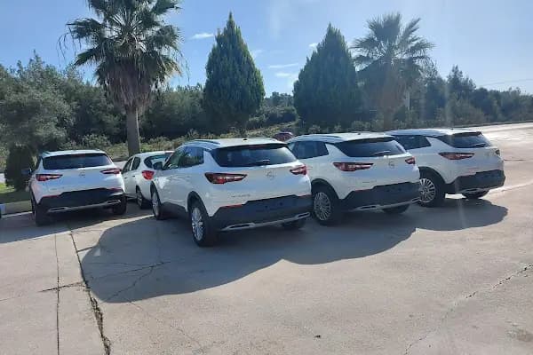 Arven Bodrum Car Rental - Araç Kiralama - Muğla Bodrum