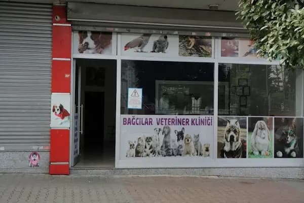 Bağcılar Acil Veteriner/Bağcılar Veteriner Kliniği - Acil Durum Veterinerlik Hizmeti - İstanbul Bağcılar