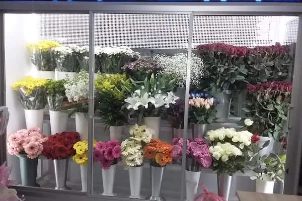 Pelin Çiçekçilik - Çiçekçi - Balıkesir Edremit
