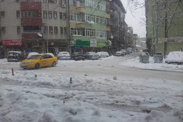 Penguen Veteriner - Veteriner - Sakarya Adapazarı