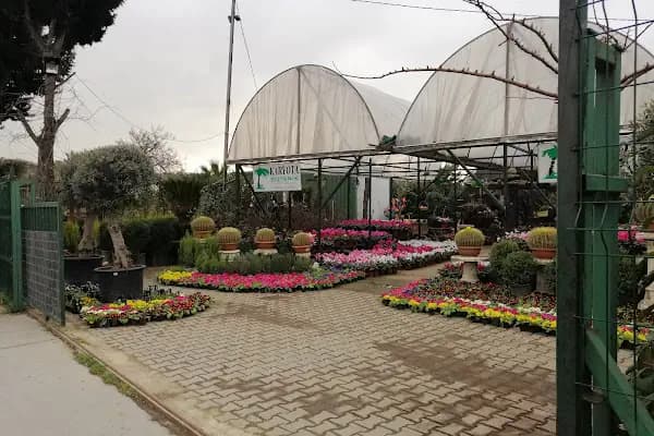 Karyota Botanik - Fidanlık - İstanbul Küçükçekmece