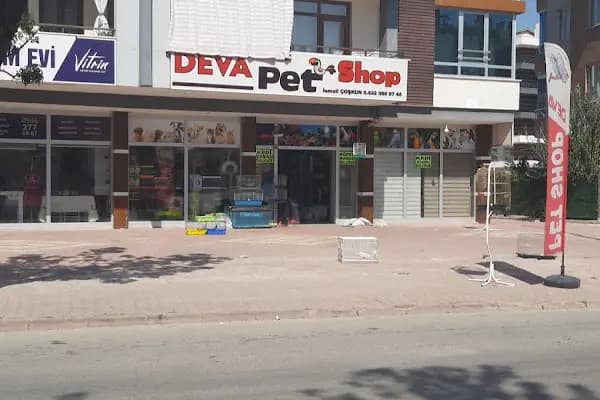 Deva Petshop akvaryum - Evcil hayvan mağazası - Konya Akşehir