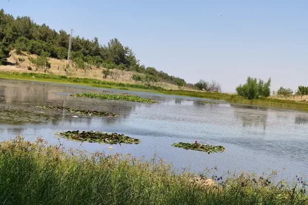 Sülüklü Göl Spil Dağı Milli Parkı - Yürüyüş Alanı - Manisa Soma